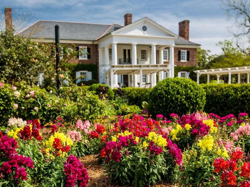 Picture of Boone Hall Plantation & Gardens