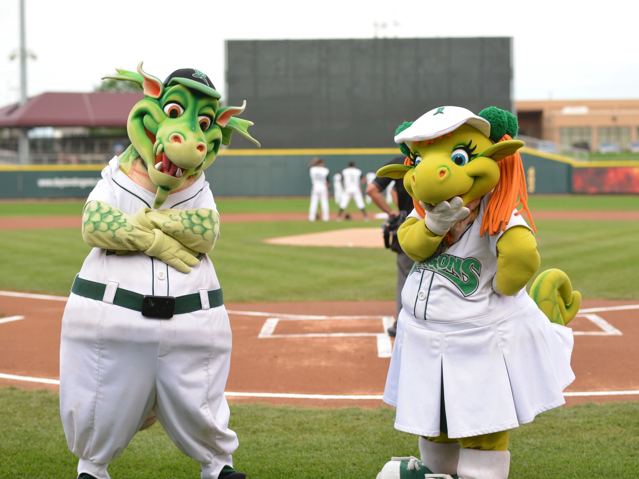 Picture of Dayton Dragons Professional Baseball Team