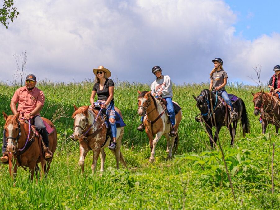 Picture of Shenandoah Riding Center