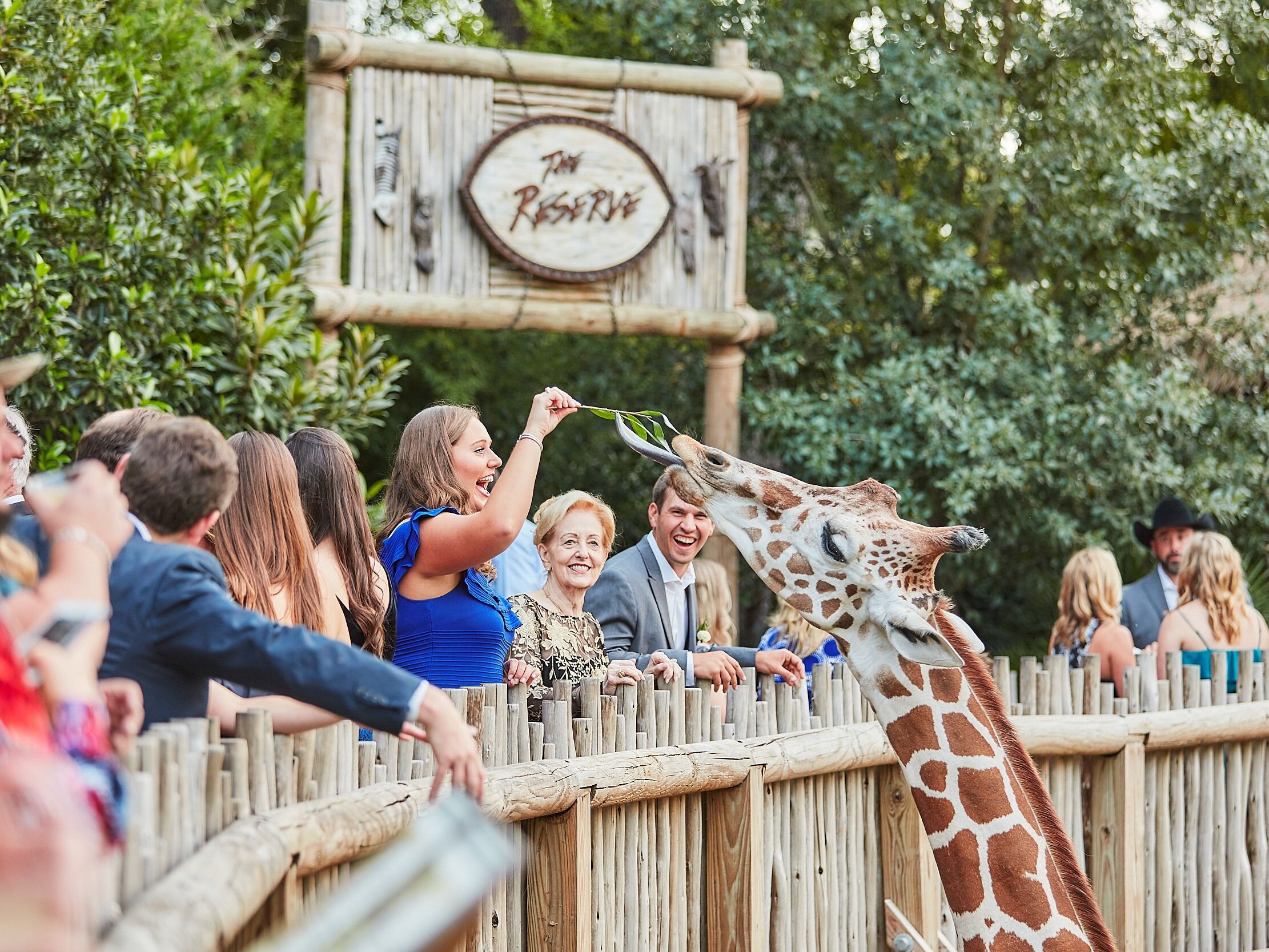 Picture of Fort Worth Zoo