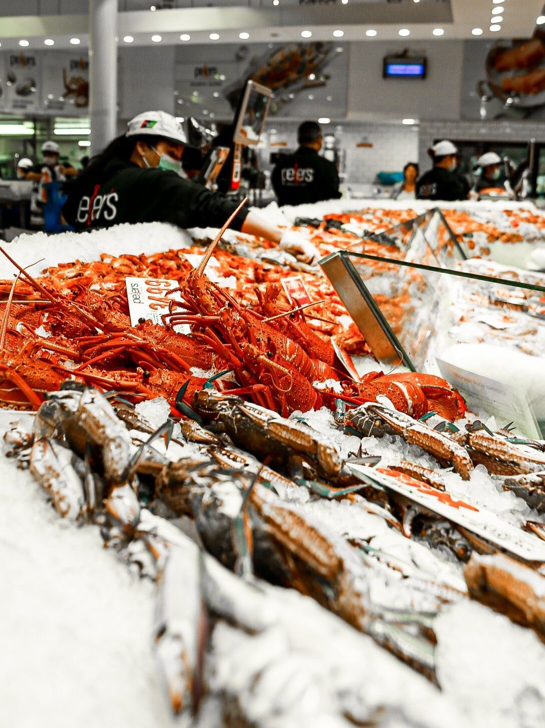 Picture of Sydney Fish Market
