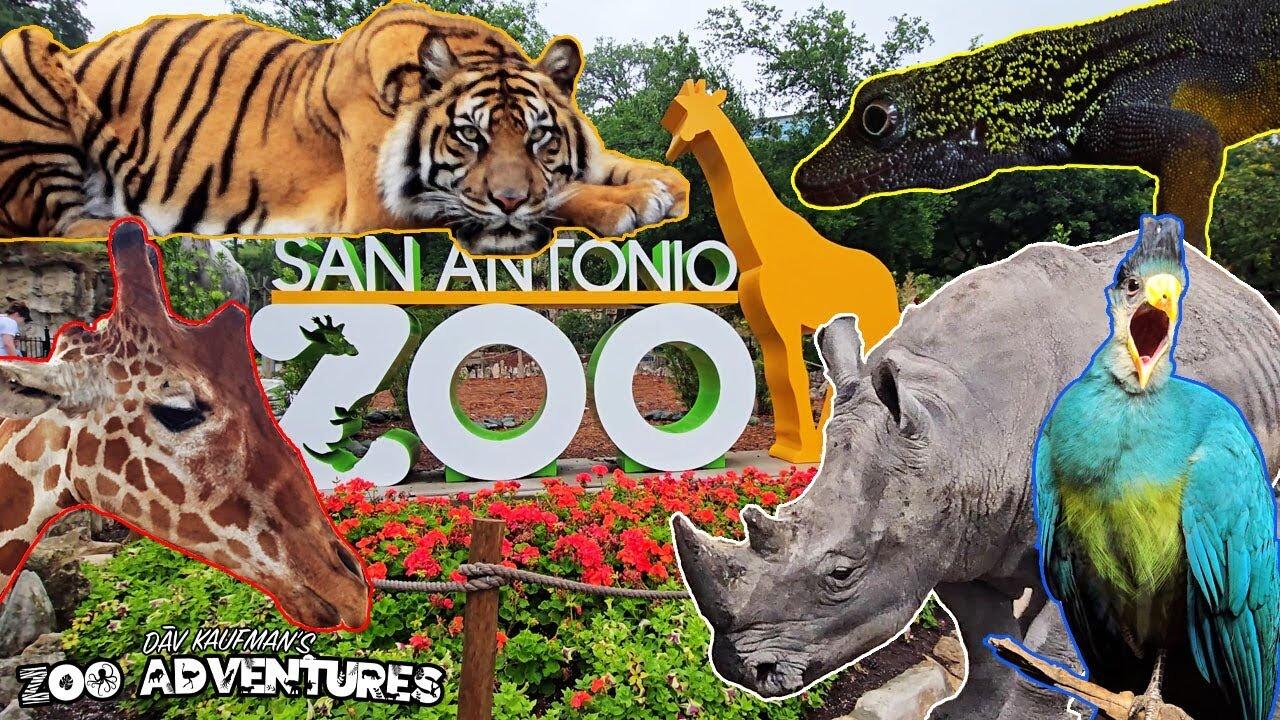 Picture of San Antonio Zoo