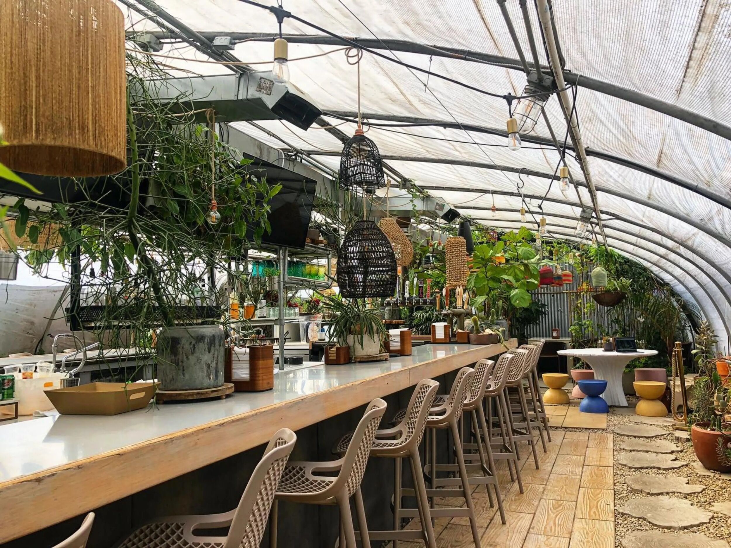 Picture of Greenhouse Bar