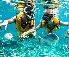 Picture of Total Snorkel