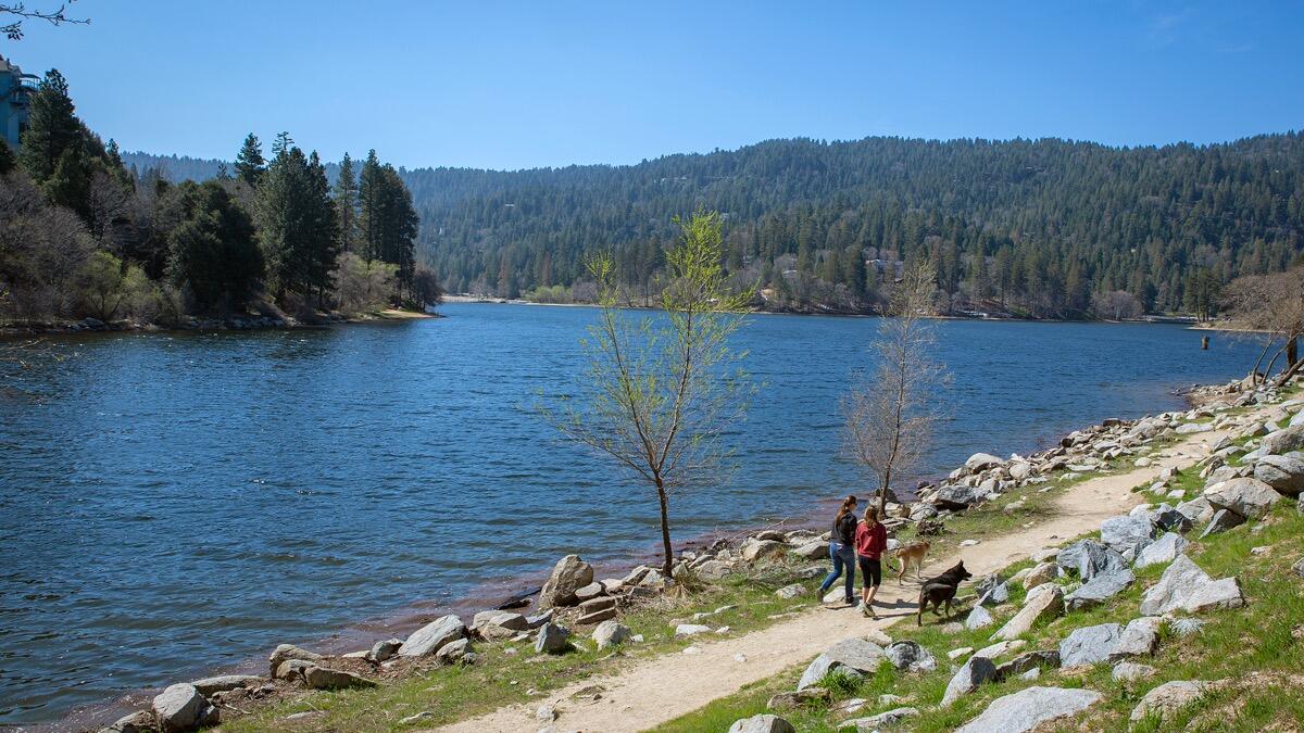 Picture of Lake Gregory Regional Park