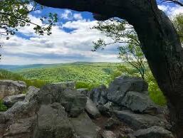 Picture of Catoctin Mountain