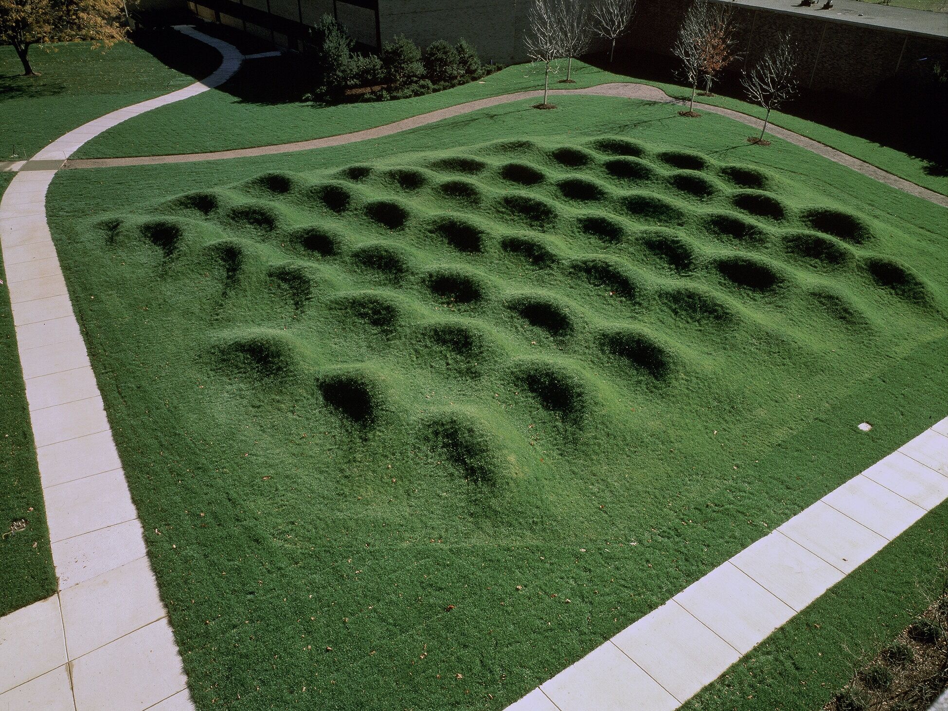 Picture of Wave Field