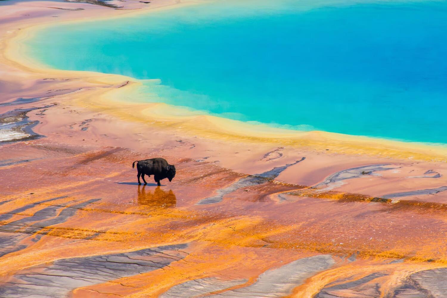 Picture of Yellowstone National Park