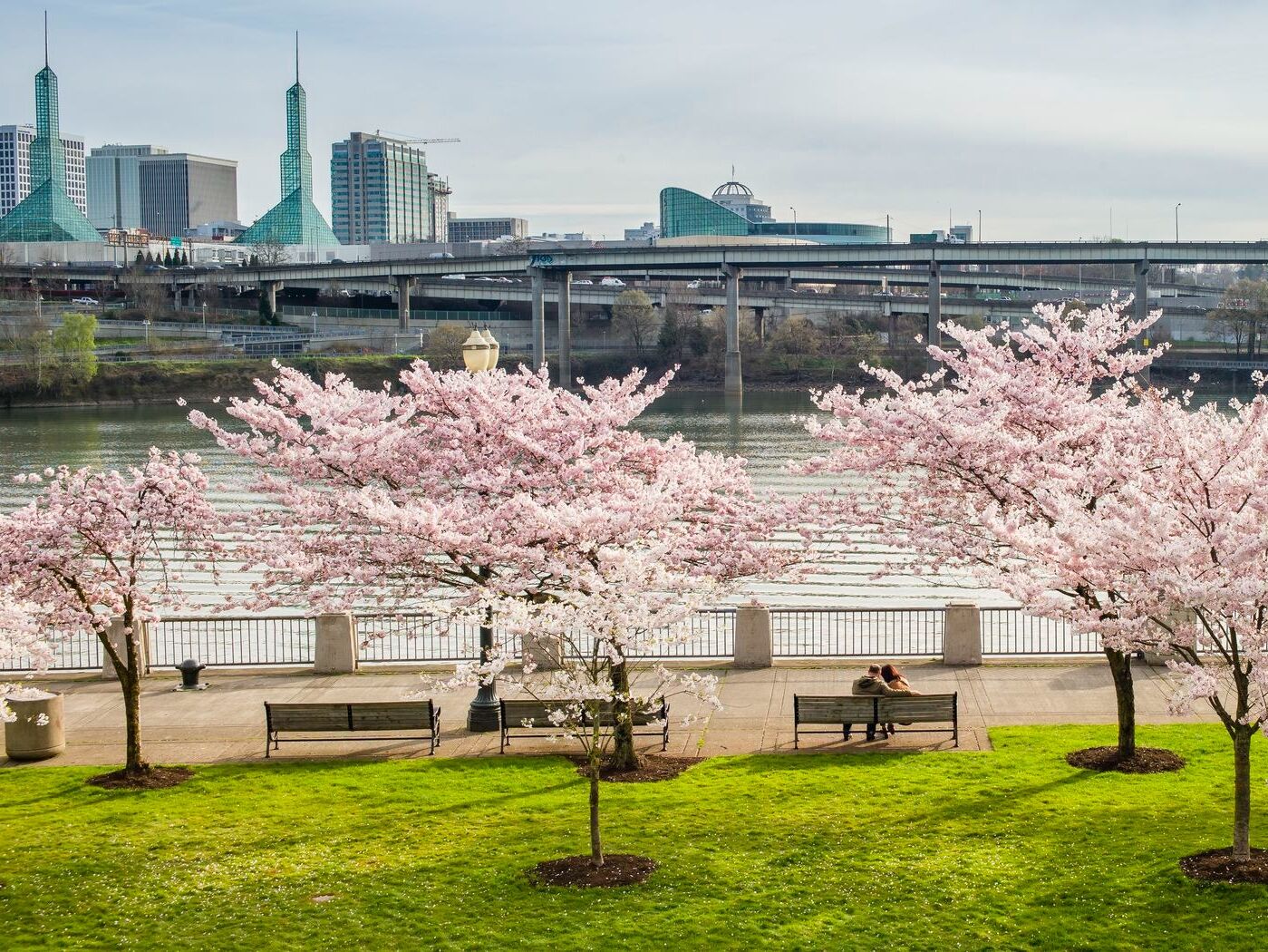 Picture of Tom McCall Waterfront Park