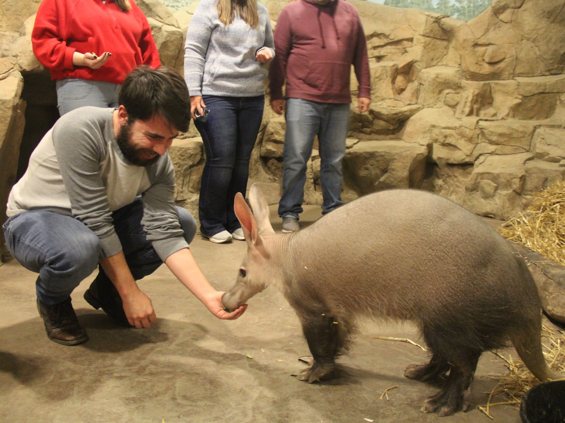 Picture of Henry Vilas Zoo