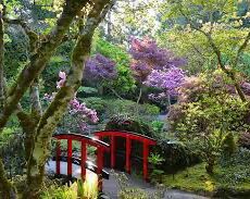Picture of The Butchart Gardens
