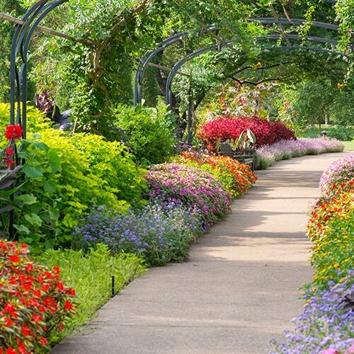 Picture of Cheekwood Botanical Gardens & Estate
