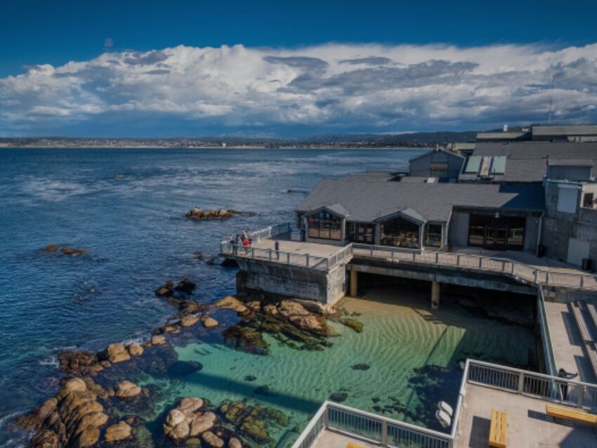 Picture of Monterey Bay Aquarium