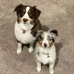 Luna and Stella 