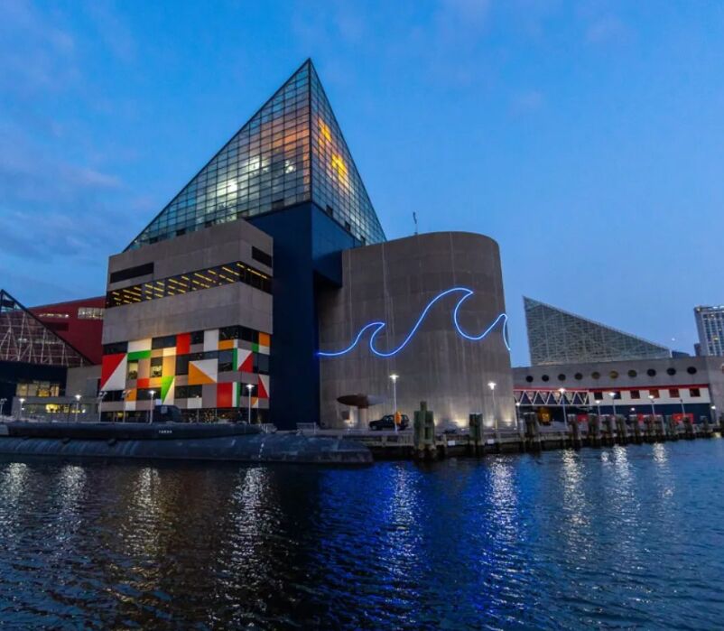 Picture of National Aquarium