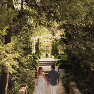 Gallery Photo 11