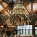 Modern Rustic Reception with String Lights and Hanging Flower Installation