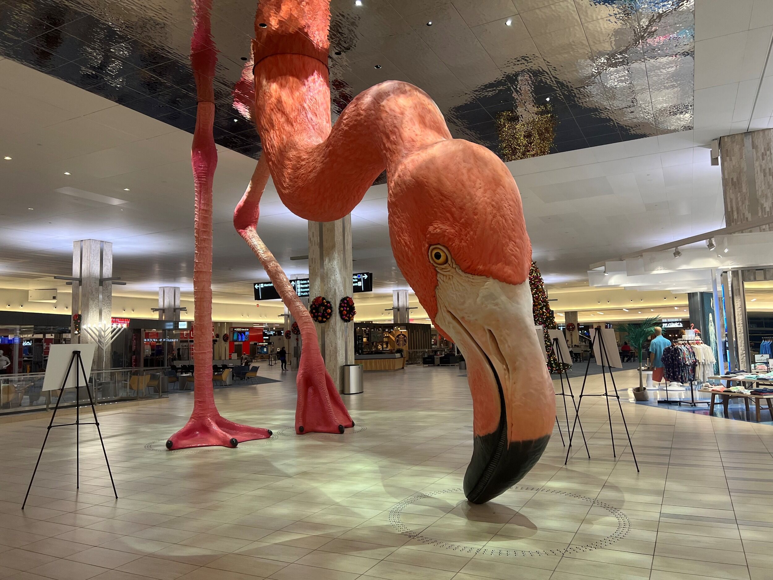 Picture of Tampa International Airport