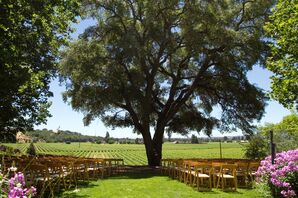Vineyard Ceremony