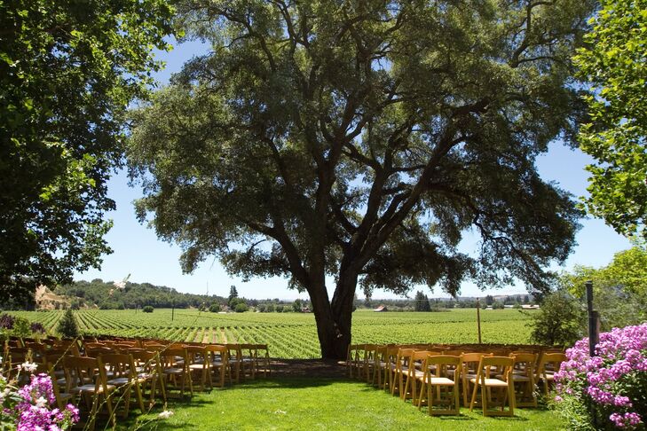 Jen and Dario exchanged vows beneath a majestic Cork Oak tree  overlooking an expanse of estate vineyards.