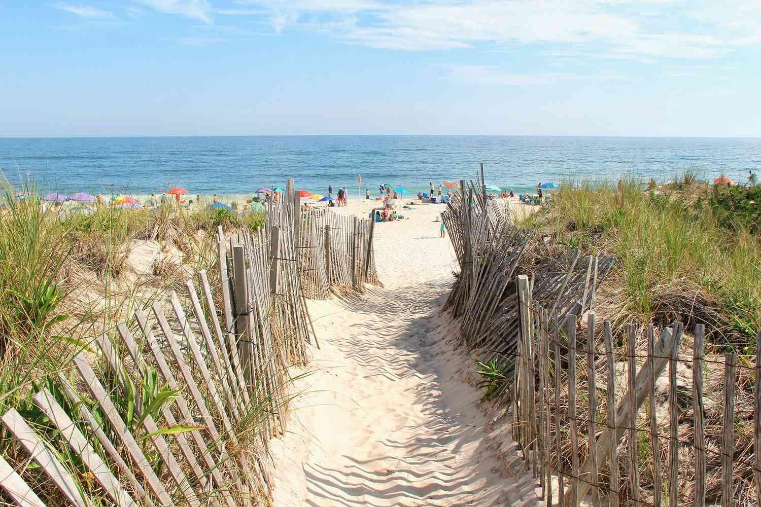 Picture of Cupsogue Beach County Park