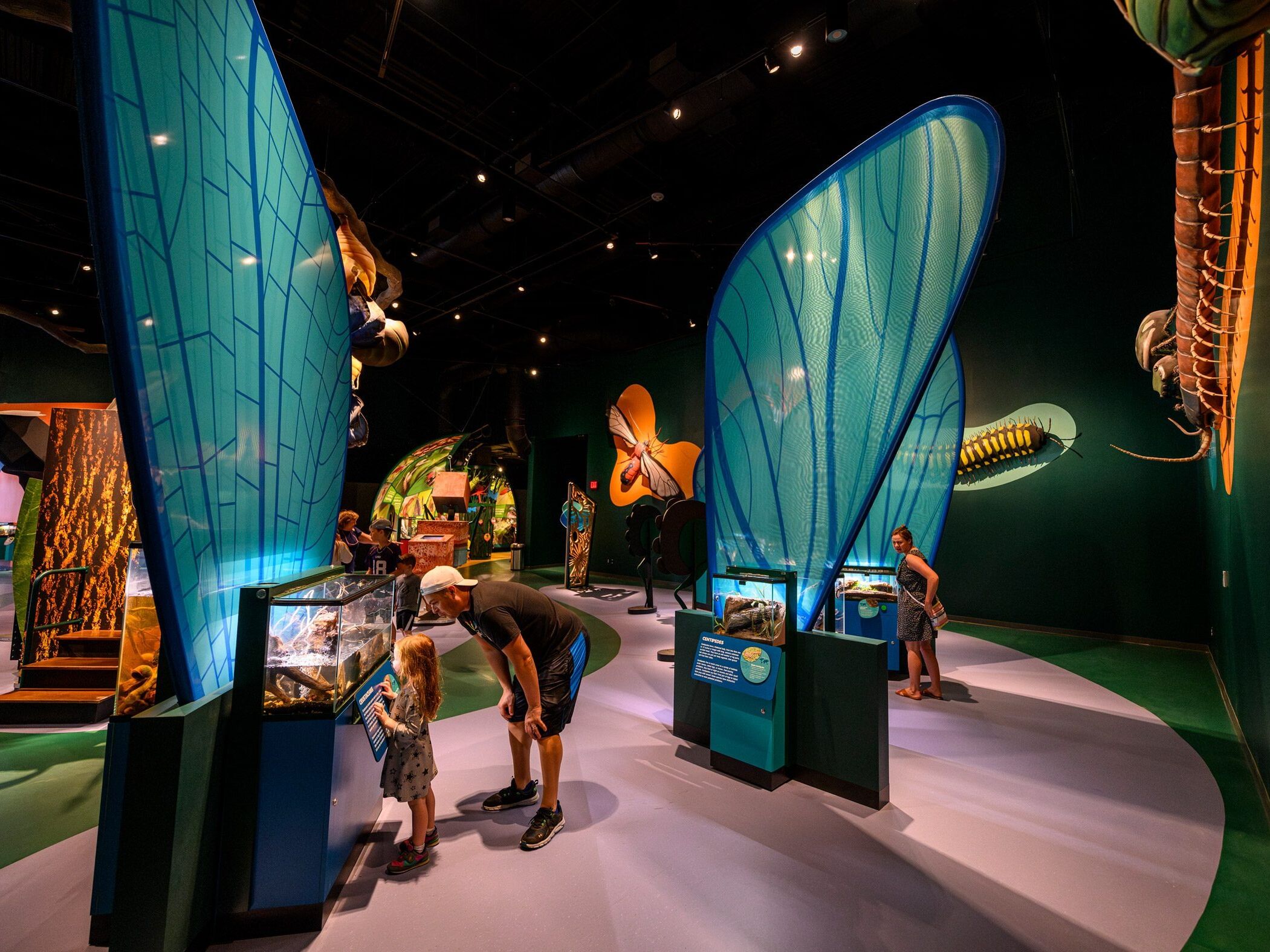 Picture of Audubon Insectarium