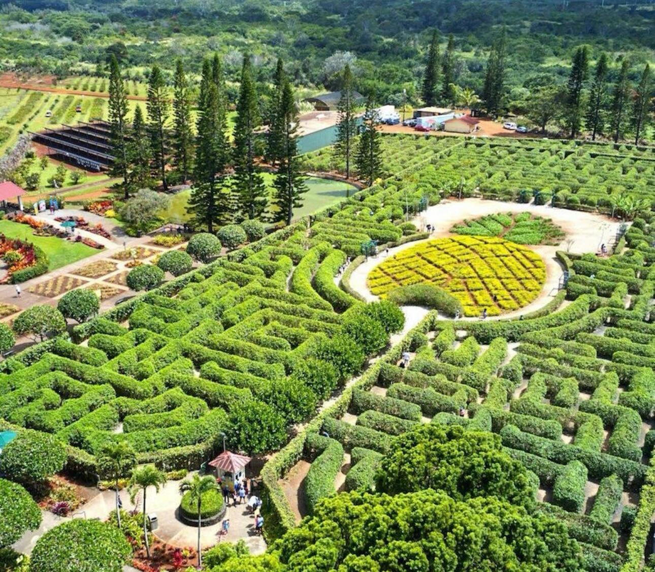 Picture of Dole Plantation 
