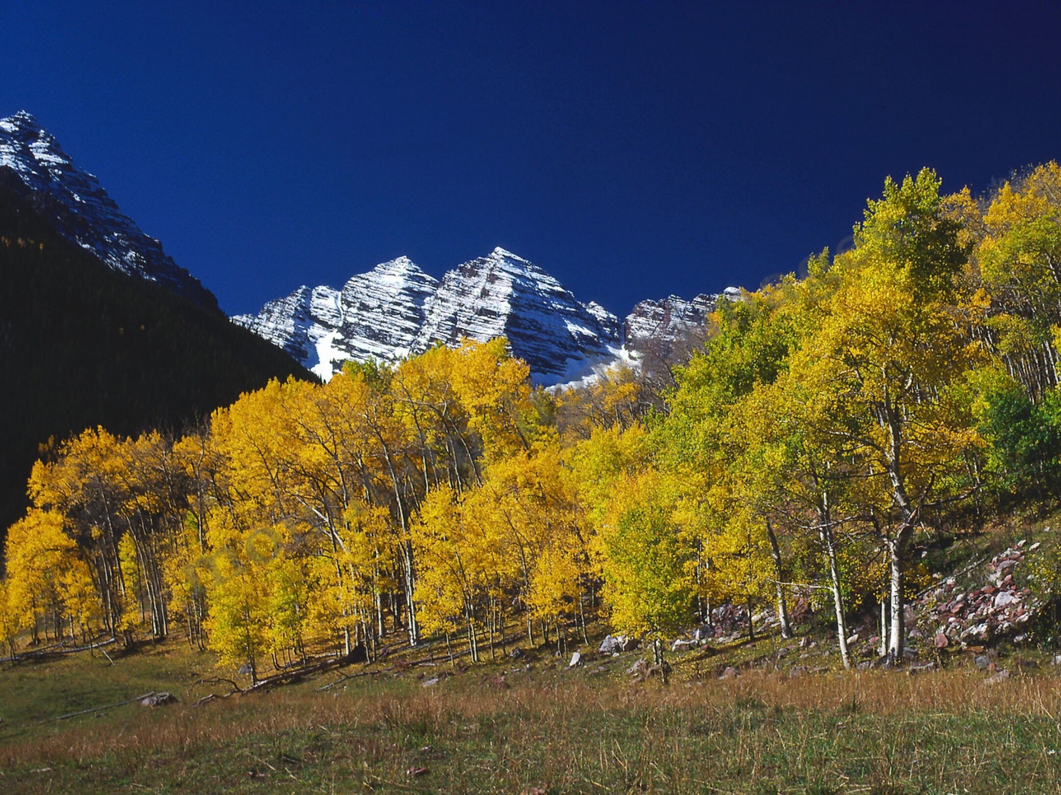 Picture of Maroon Bells Scenic Area