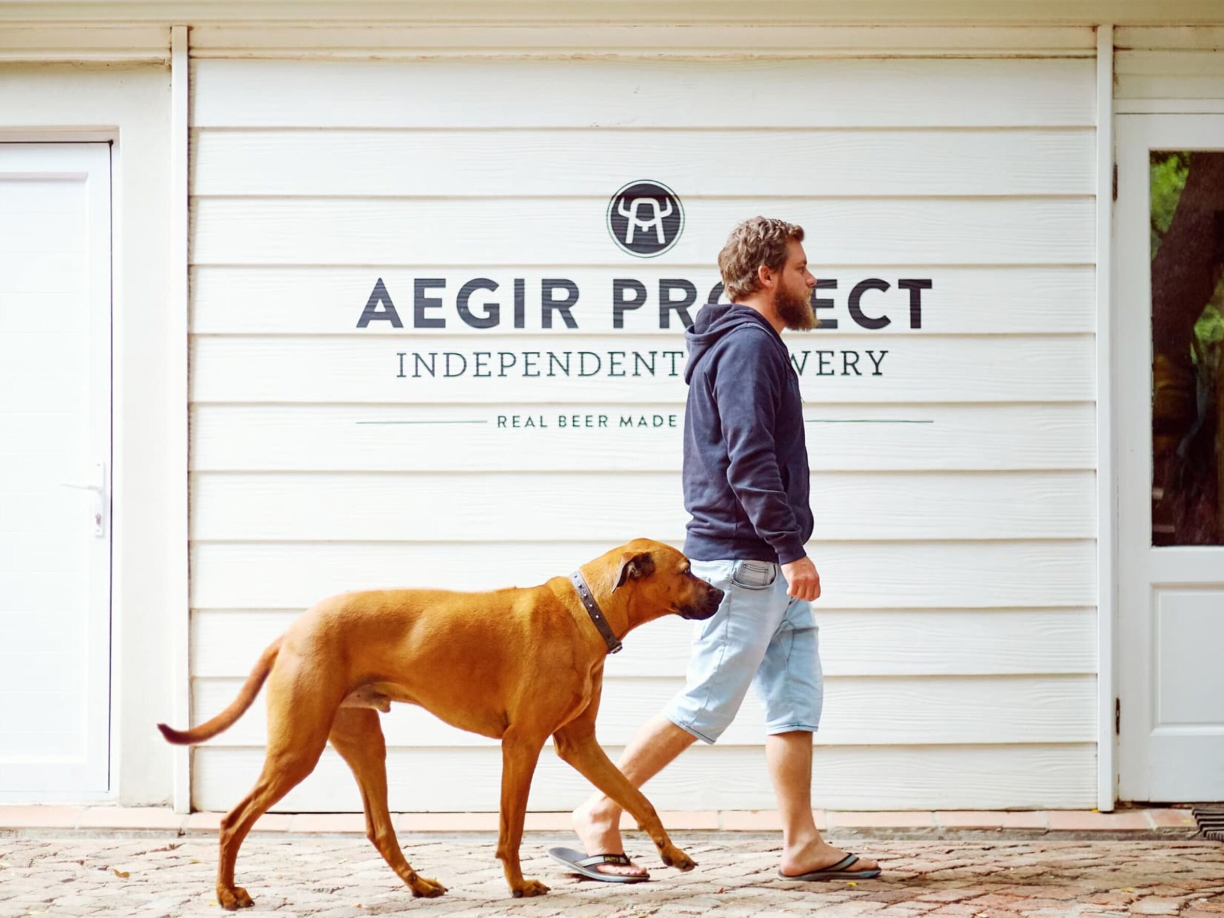 Picture of Aegir Project Brewery Noordhoek