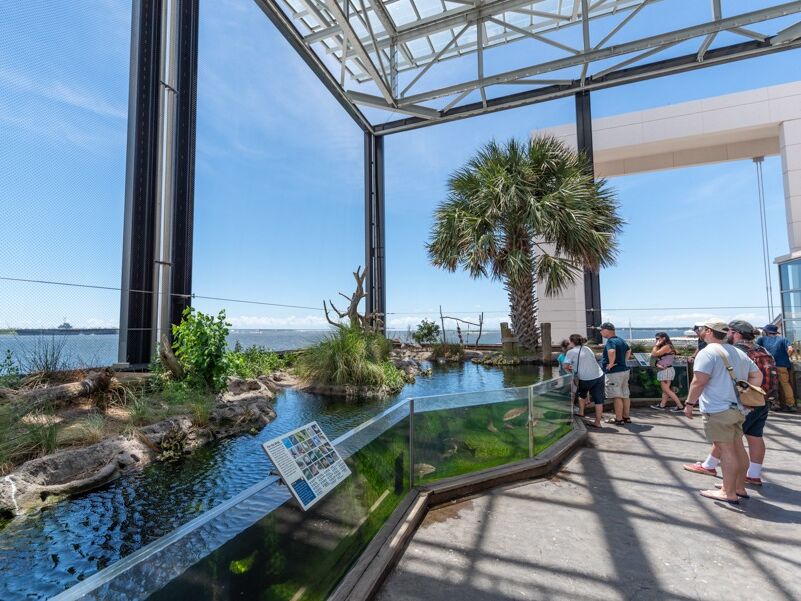 Picture of South Carolina Aquarium