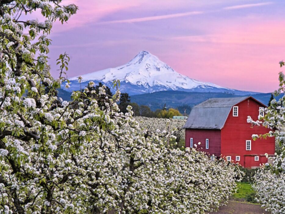 Picture of Hood River Fruit Loop