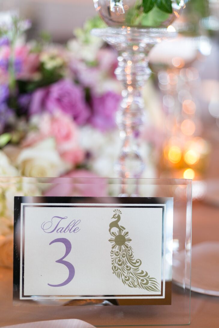 Modern Peacock Accented Table Numbers