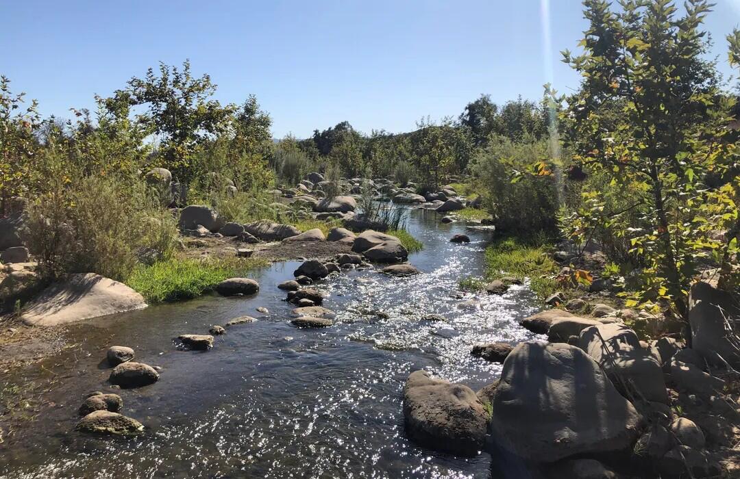 Picture of The River Bottom