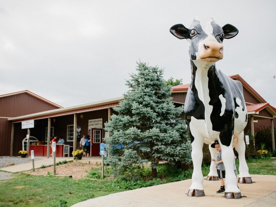 Picture of Great Country Farms