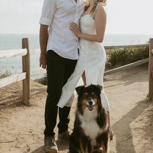Gallery Photo 9
