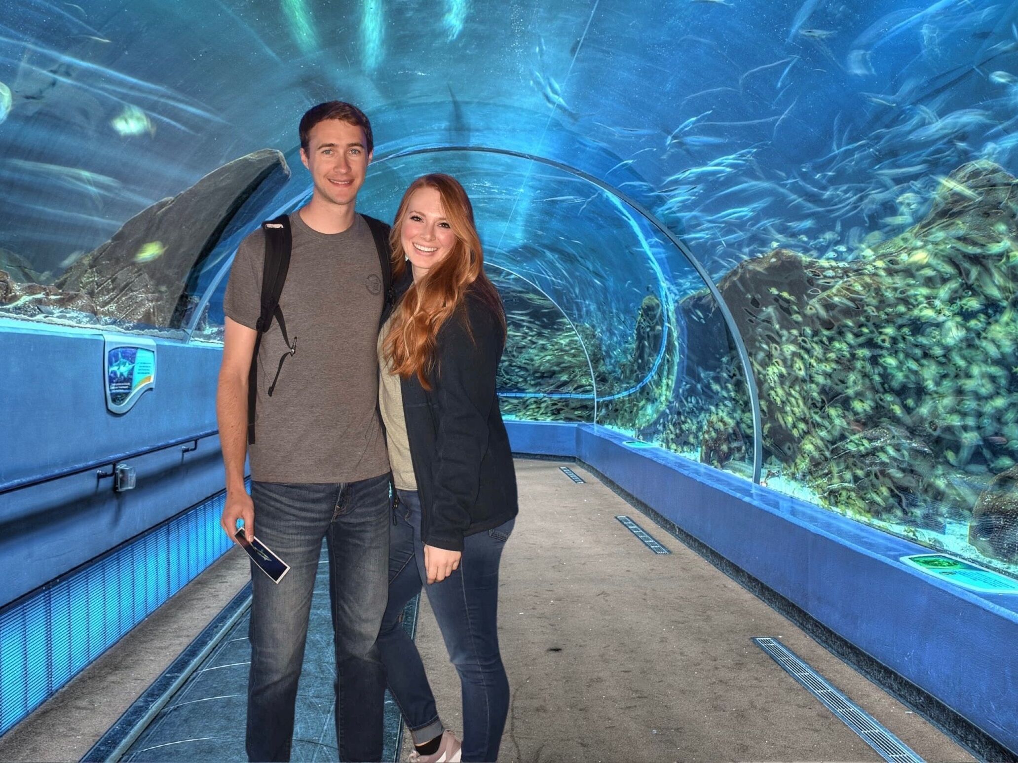 Picture of Loveland Living Planet Aquarium