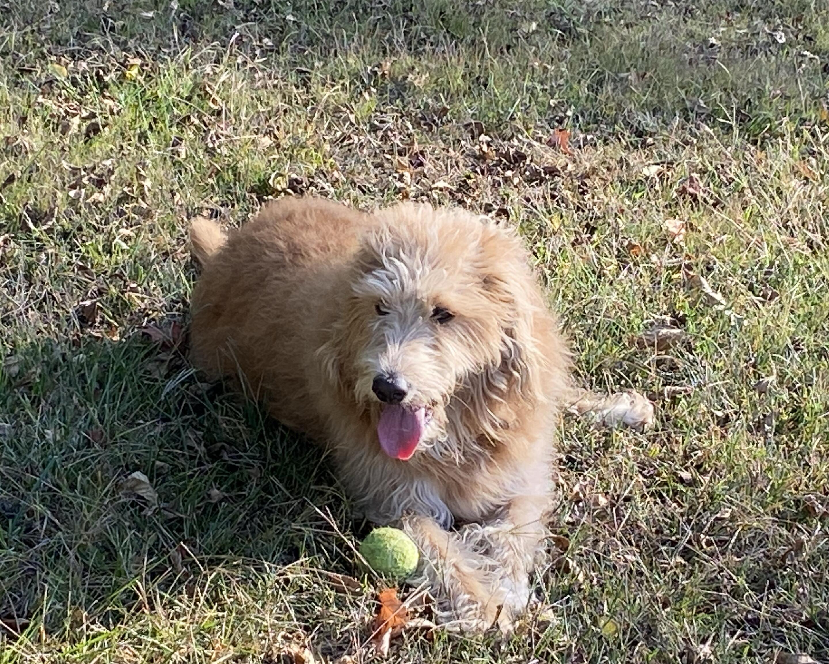 Picture of Truly Loved