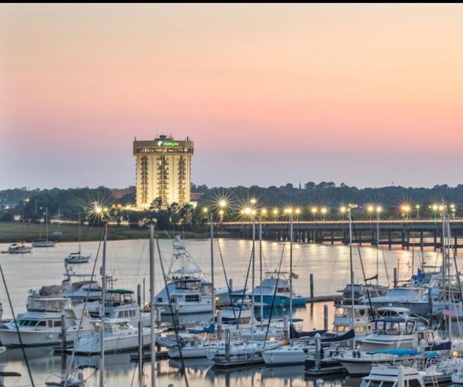 Picture of Holiday Inn Charleston-Riverview by IHG