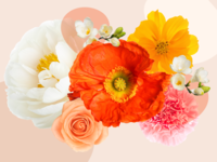 Collage of beautiful anniversary flowers. 