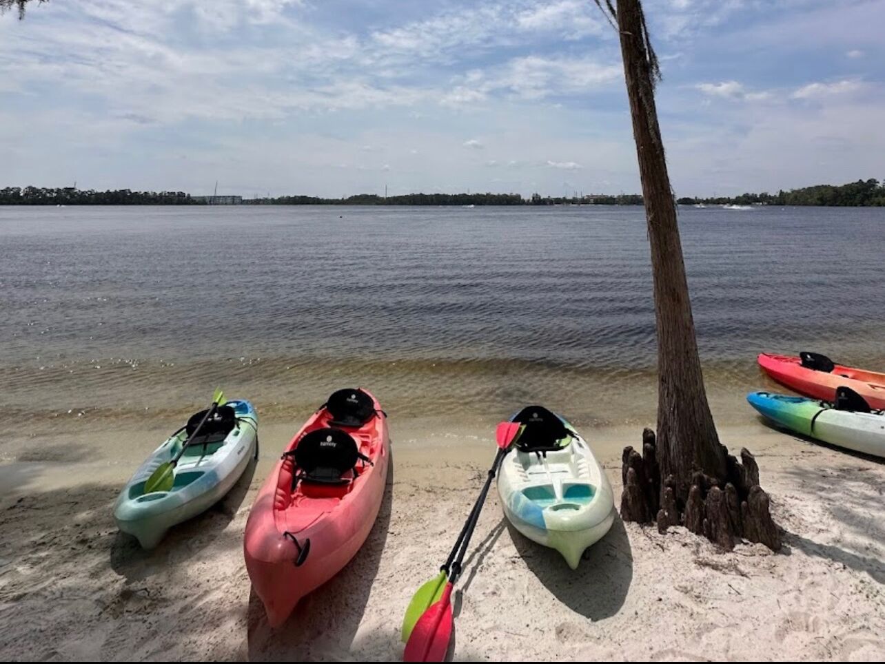 Picture of Buena Vista Watersports