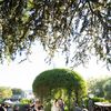 This Ranch Wedding in Saint Helena, California, Was the Epitome of Farm to Table