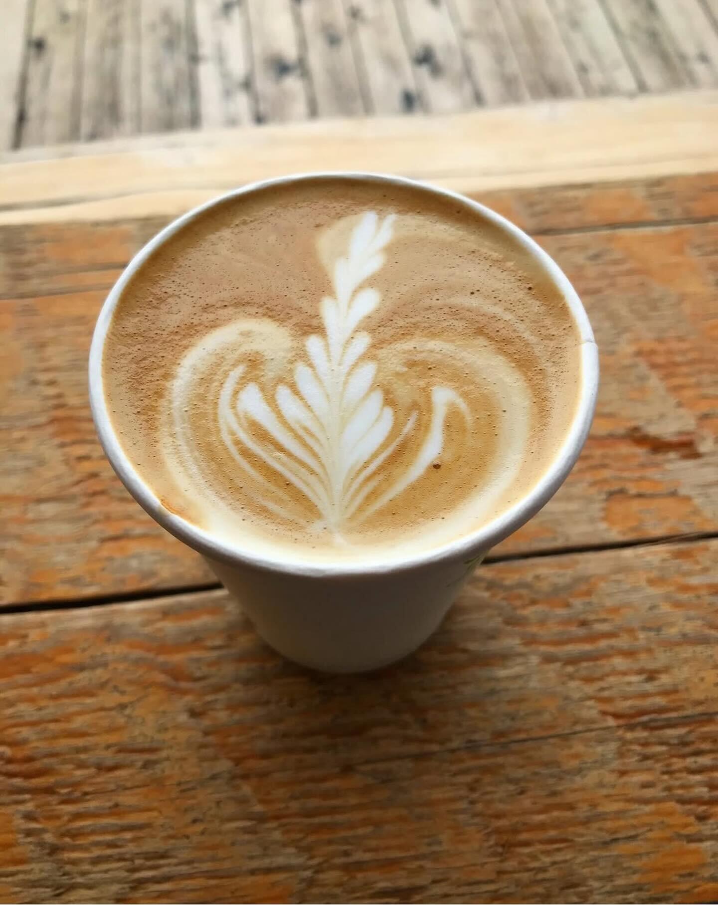 Picture of Bugwood Coffee | Cafe