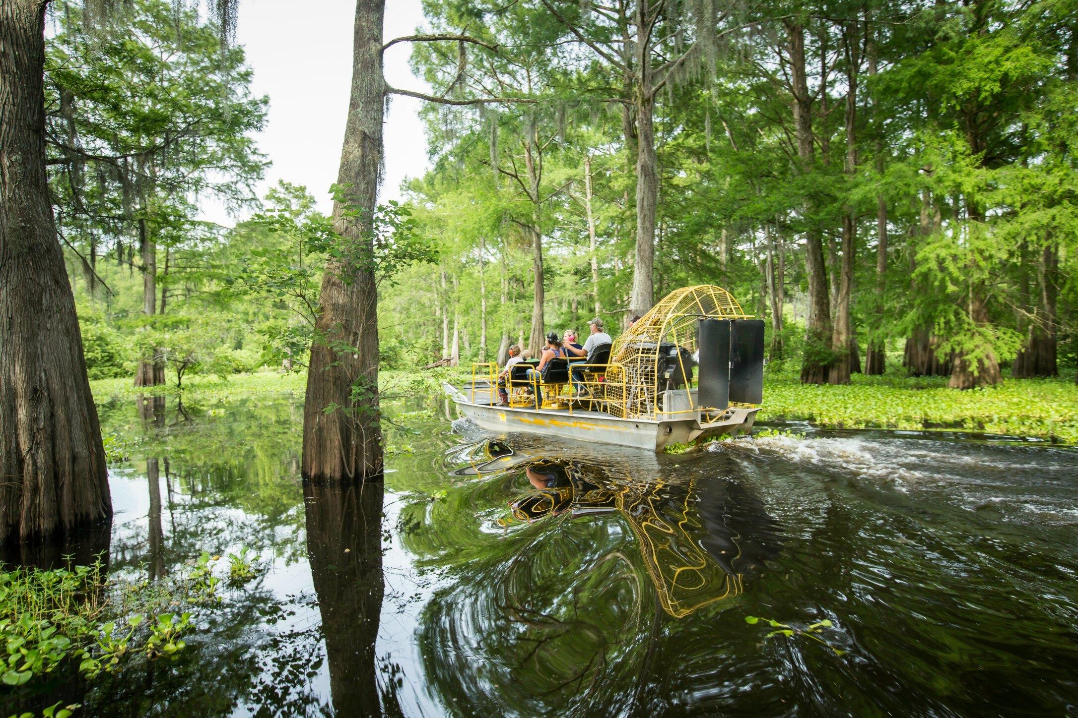 Picture of Swamp Tours