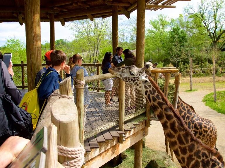 Picture of Cincinnati Zoo & Botanical Garden