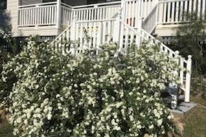 Picture of Glen Aplin Gardens B&B