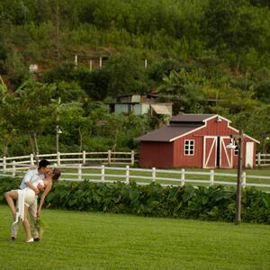Gallery Photo 26