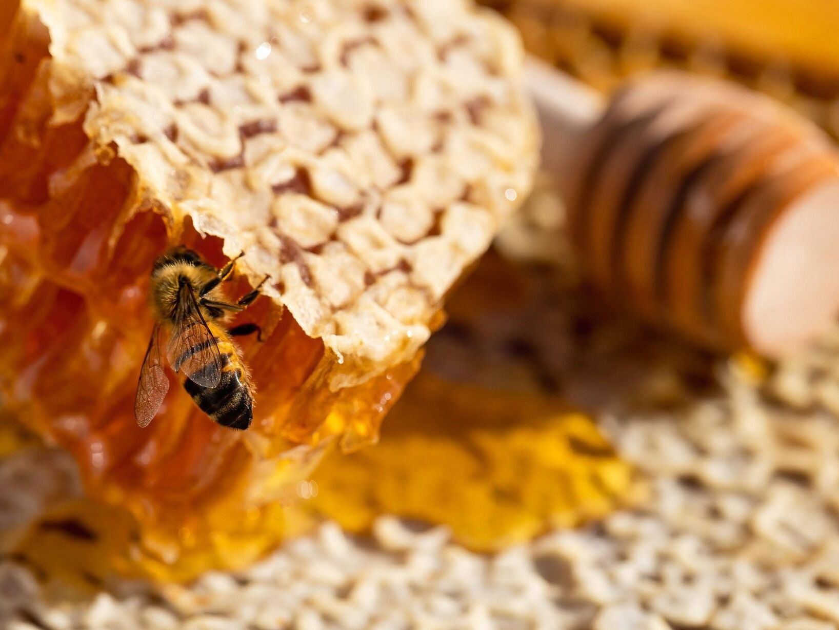 Picture of Hi Honey Farm
