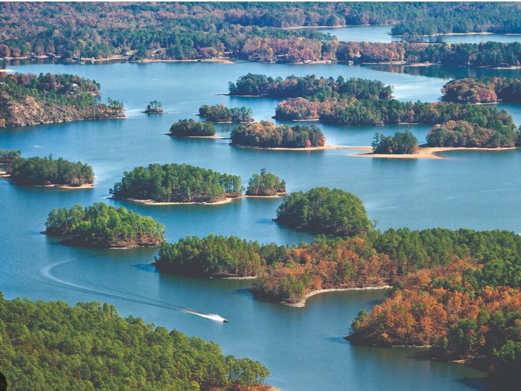 Picture of Lake Martin