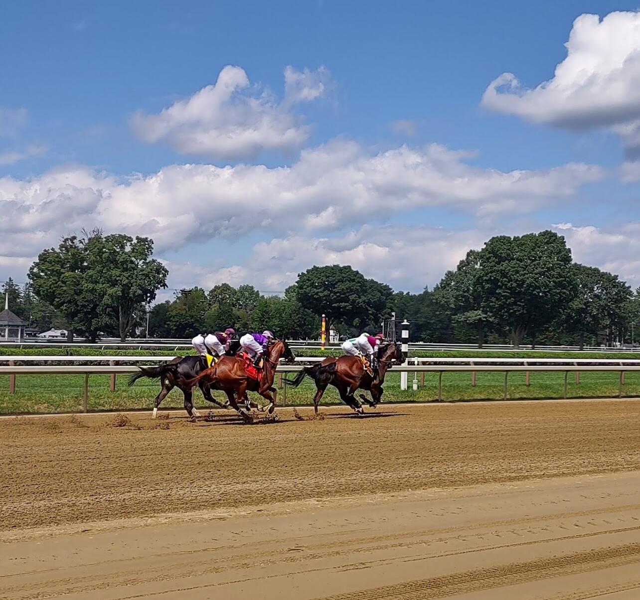 Picture of Saratoga Racetrack