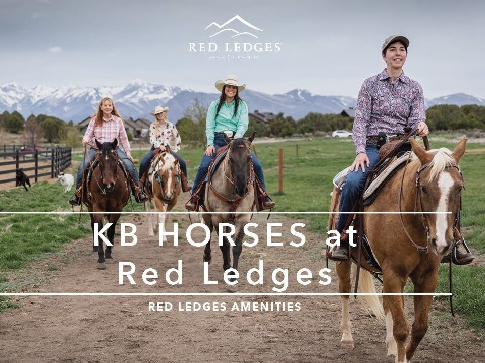 Picture of KB HORSES at Red Ledges